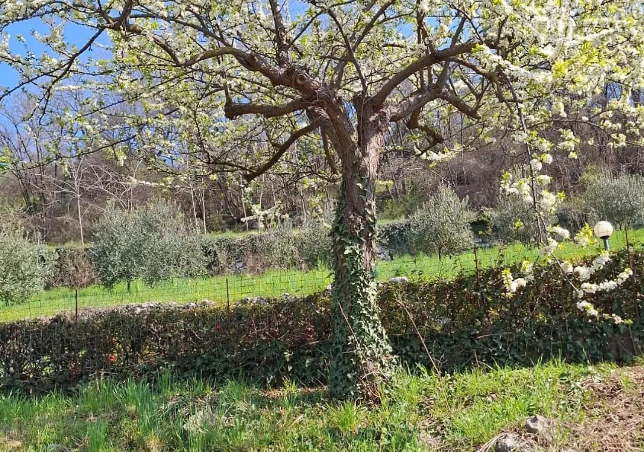Agri-Alloggio Le Poscole Al Canton Castelgomberto